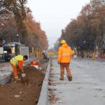 La tala de árboles y la expansión del Metrobús: una paradoja de progreso insostenible