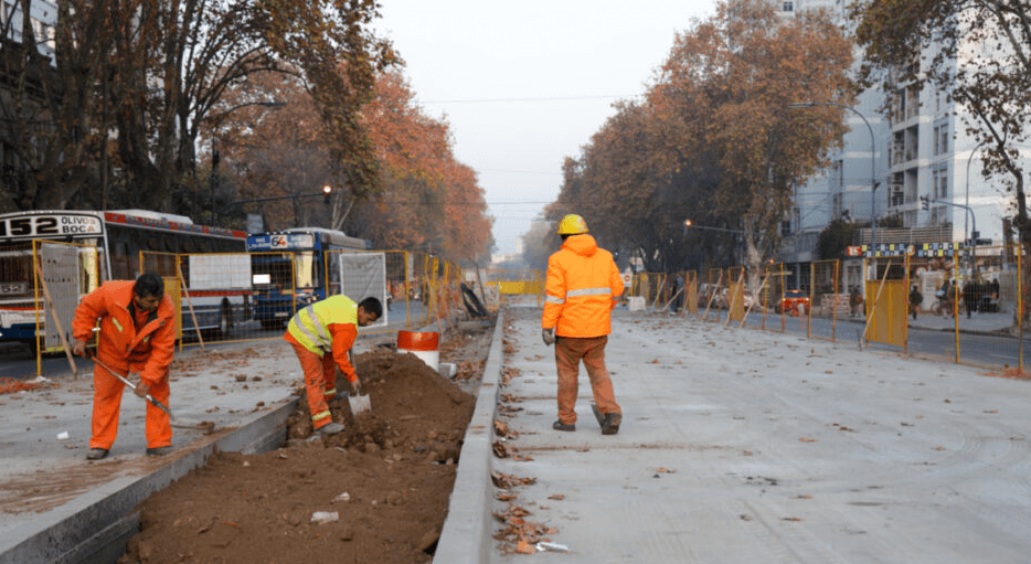 La tala de árboles y la expansión del Metrobús: una paradoja de progreso insostenible