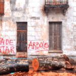 Un Grito por el Arbolado Urbano: ¿Por qué No Podemos Ignorar la Destrucción Silenciosa de Nuestros Espacios Verdes?