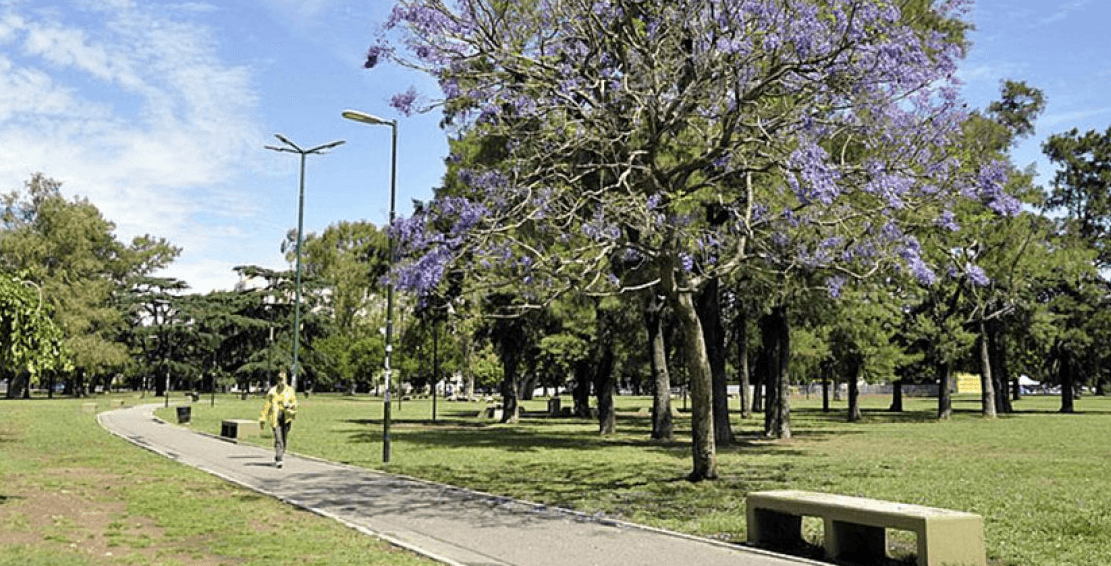 Transformación Urbana en Parque Saavedra: Comienza la Audiencia Pública por la Regeneración del Arroyo Medrano
