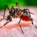 “Declarémonos Militantes Contra el Dengue”: Previniendo la Amenaza al Barrio