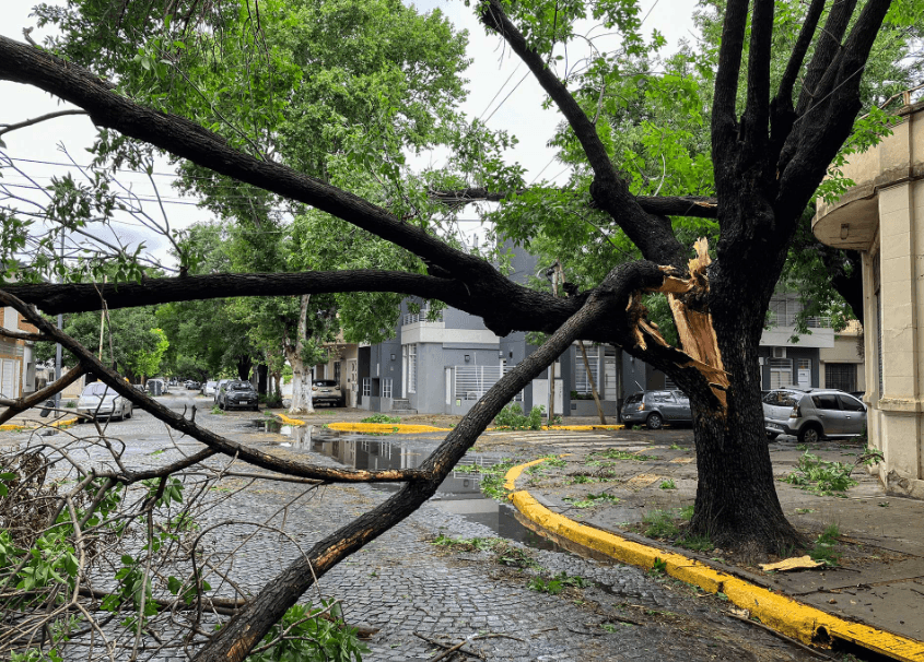 La tormenta política en la Ciudad Autónoma de Buenos Aires: entre subsidios, expulsiones y luchas de poder