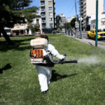 Mosquitos en la Ciudad: Una Invasión que Preocupa
