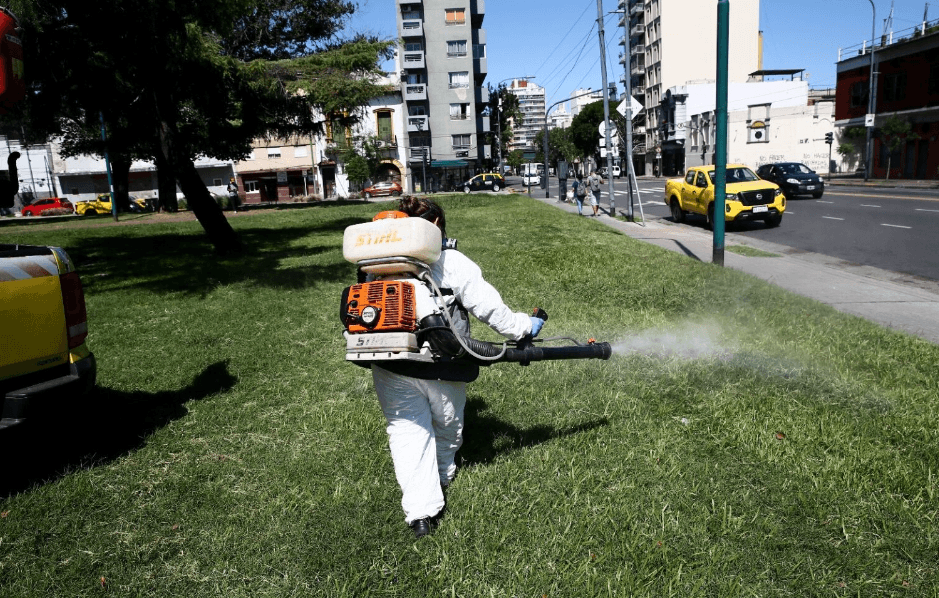 Mosquitos en la Ciudad: Una Invasión que Preocupa