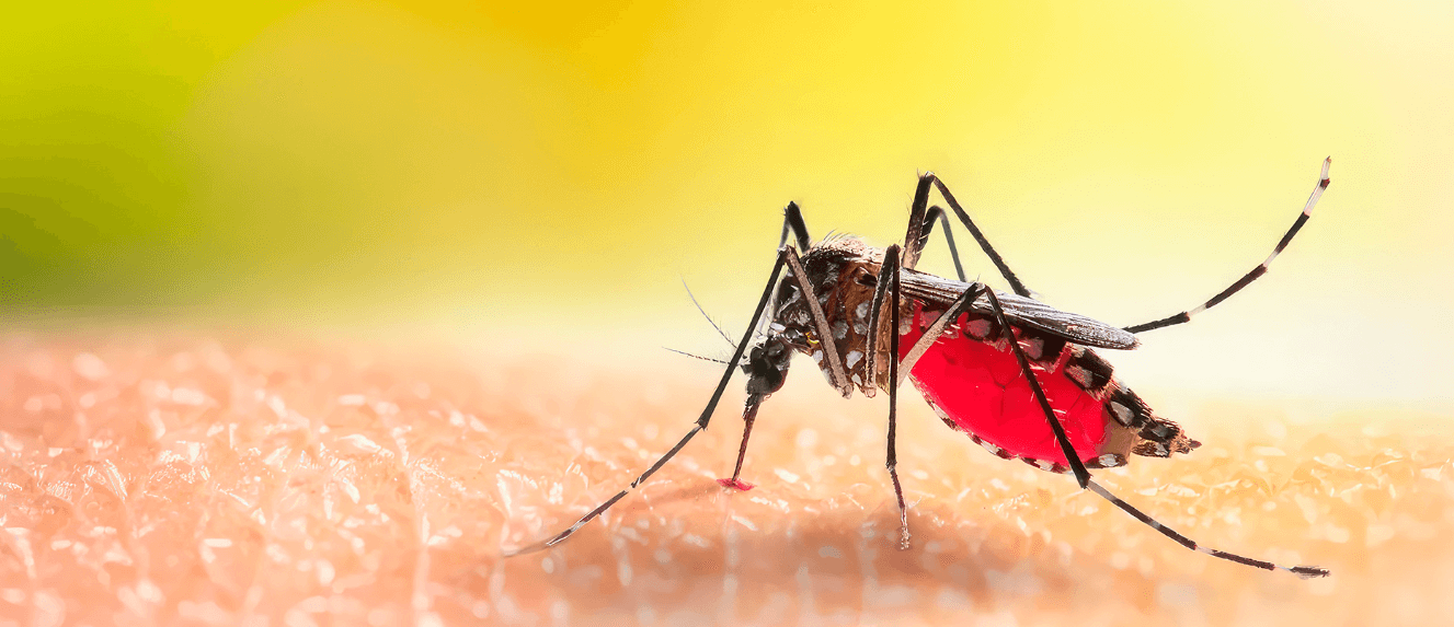 Mosquitos, Inmuebles y Escándalos: La Agenda Urbana de Buenos Aires
