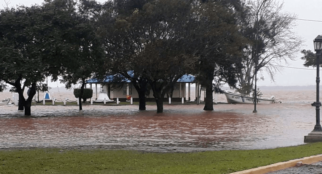 Buenos Aires bajo el Agua: Desentrañando el Fracaso de la Gestión de Inundaciones