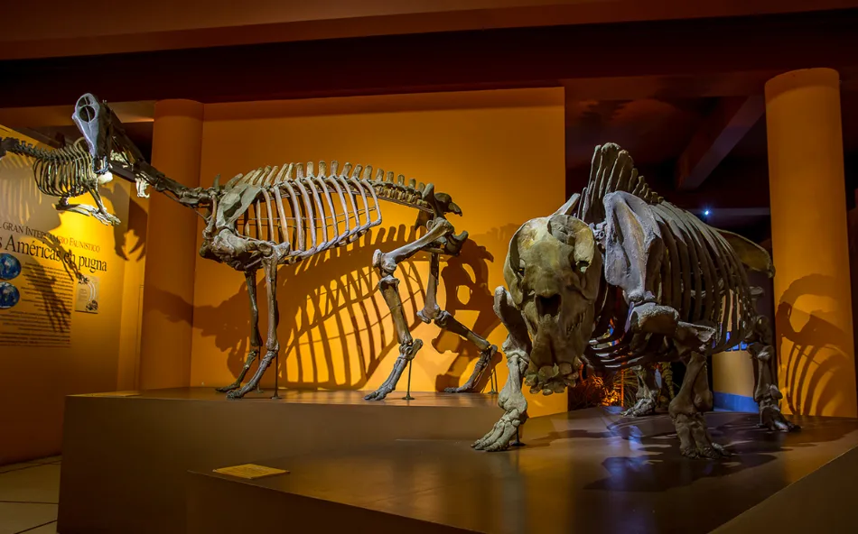 El Museo de Ciencias Naturales Bernardino Rivadavia: Una Joya de la Ciudad que se Renueva con una Nueva Sala Dedicada al Agua