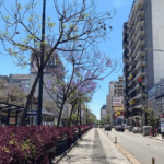 Fábrica 24/7 en Colegiales: El ruido constante que agita a un barrio