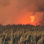 Devastadores incendios en la Patagonia: una tragedia que genera sospechas