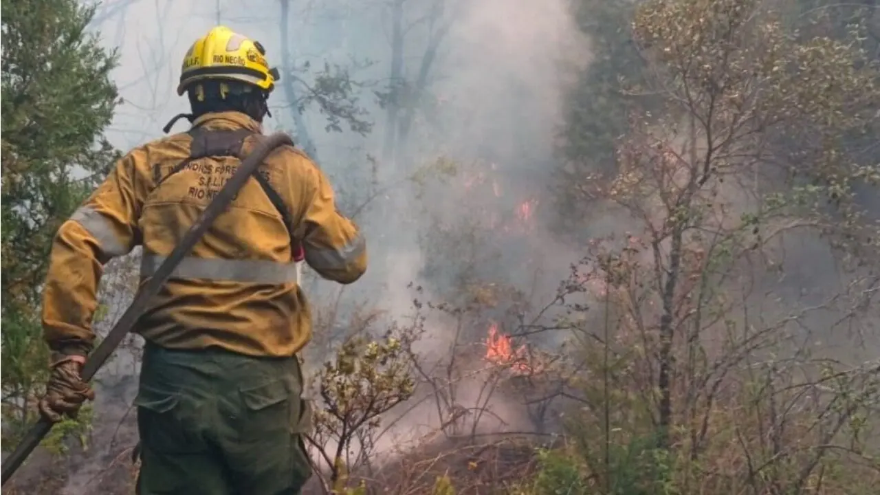 Tiempos Revueltos: Del Presidente en Problemas al Fuego en la Patagonia