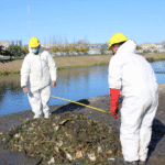 Las Irregularidades en el Manejo del Riachuelo: Un Problema Ambiental y de Salud en Buenos Aires