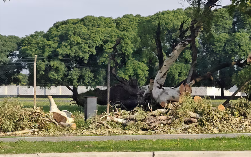 El Conflicto del Master Plan en Villa Lugano: Cuando el Desarrollo se Encuentra con la Resistencia Vecinal