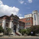 Actividades en el Museo de Ciencias Naturales